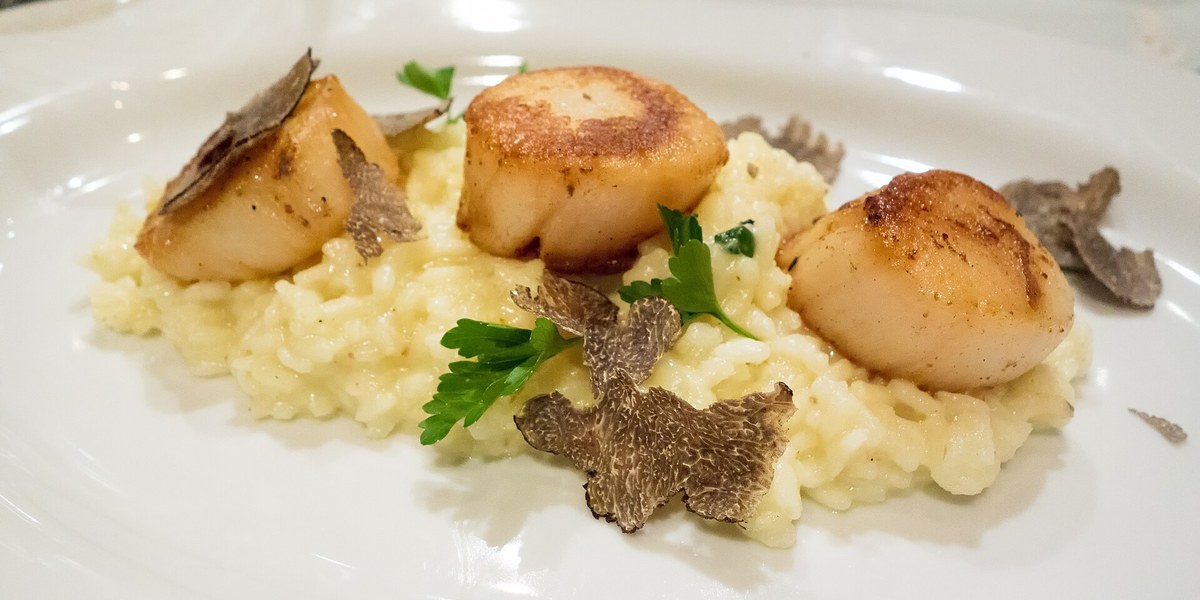 Restoran tabağında trüflü risotto ve deniz tarağı
