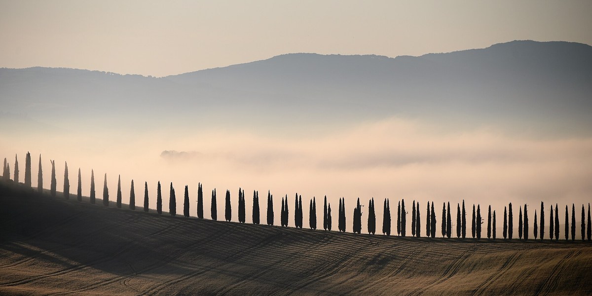 Val d'Orcia'da gün batımında selvi sırası