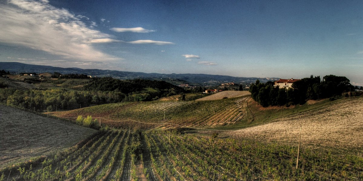 Chianti'de sıra sıra uzanan üzüm bağları